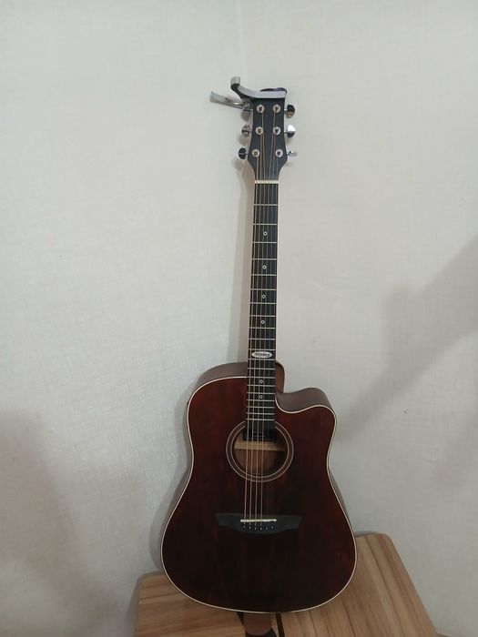 Гитара  Strinberg