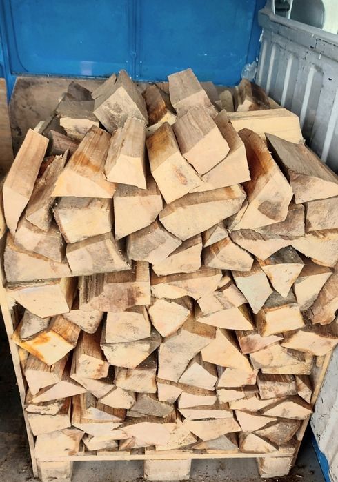 Vind Lemne de foc USCATE Fag Paletat