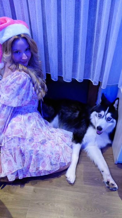 Сибирска хъска ...