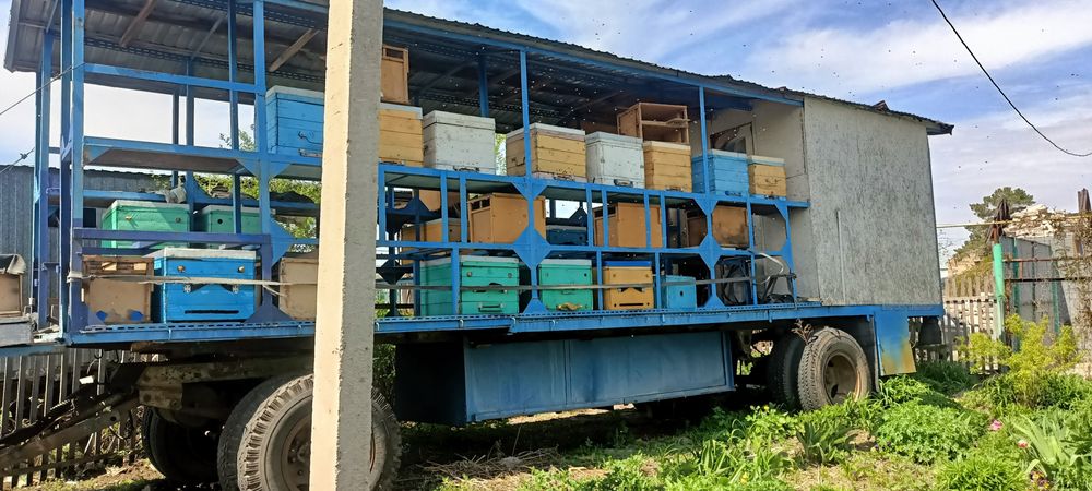 Прицеп пчеловодный