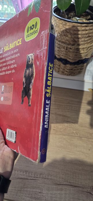 Carte cu sunete Animale Salbatice