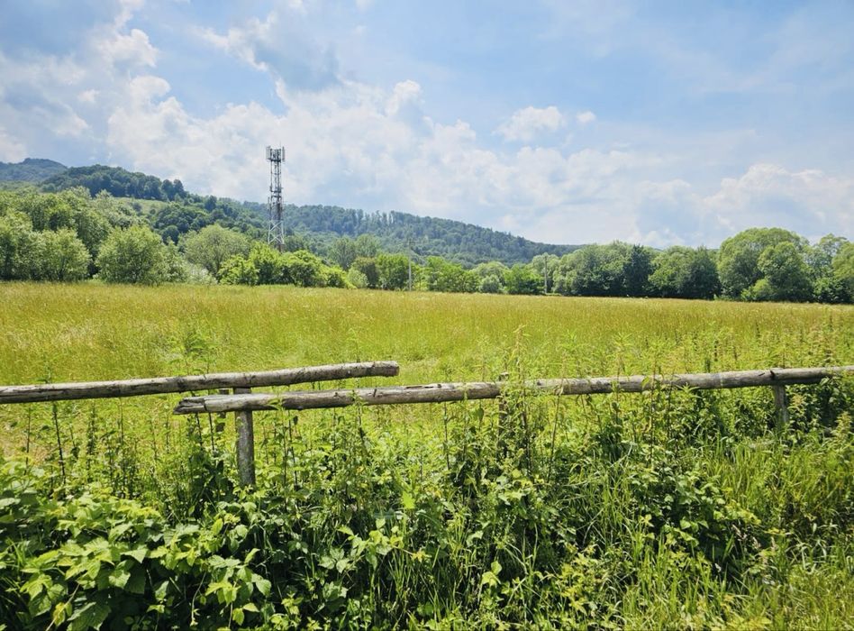 Teren munte ! Cheile  Rasnoavei