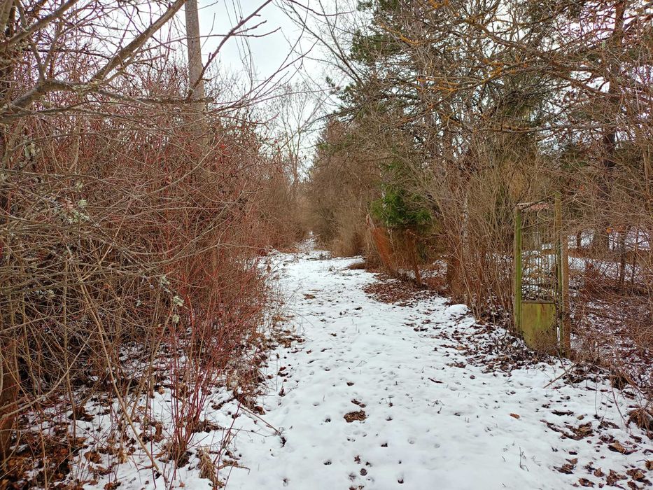 Продава се Парцел в с. Ялботина, Област София-област - 1000 кв.м за 8 €/кв.м - Снимка #21