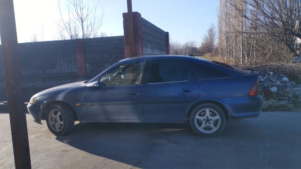 Мал болсада ауысамын