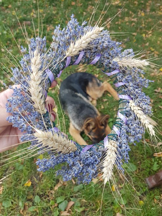 Aranjamente florale din Lavanda