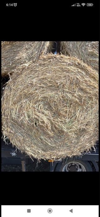 Baloti: Lucerna /Paie/Miriste/Fan.