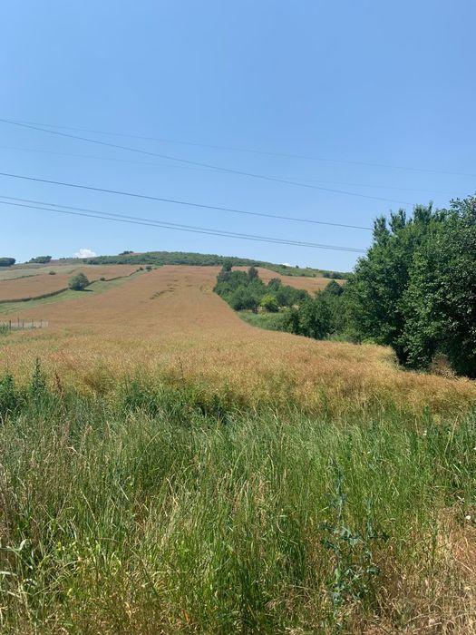 Teren de vânzare