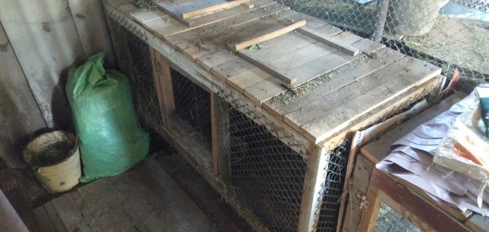 Клетки для кроликов