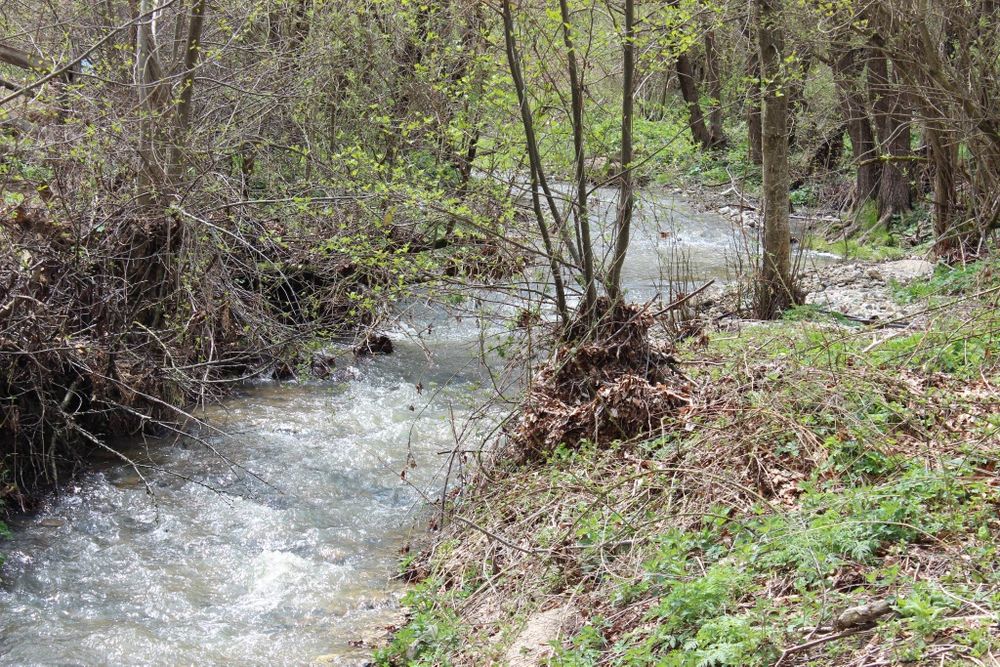 Продава се Къща в с. Бял извор, Област Кърджали - 132 кв.м за 271 €/кв.м - Снимка #16