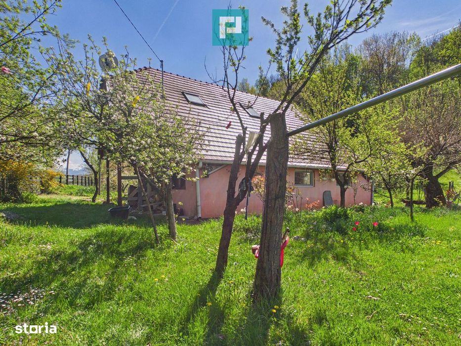 Casă Câmpani, 8000 mp teren, la poalele Apusenilor