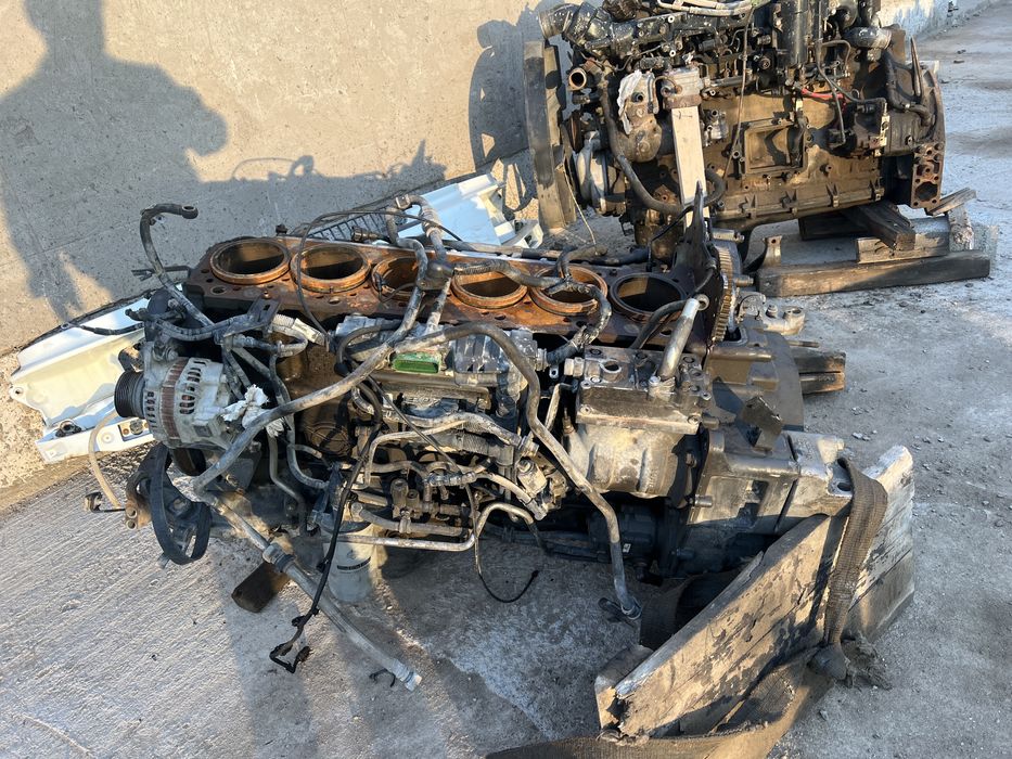 Reno Premium DXI 440