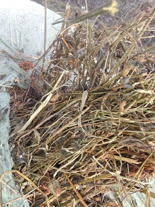 Baloți infloliat de lucernă și trifoi