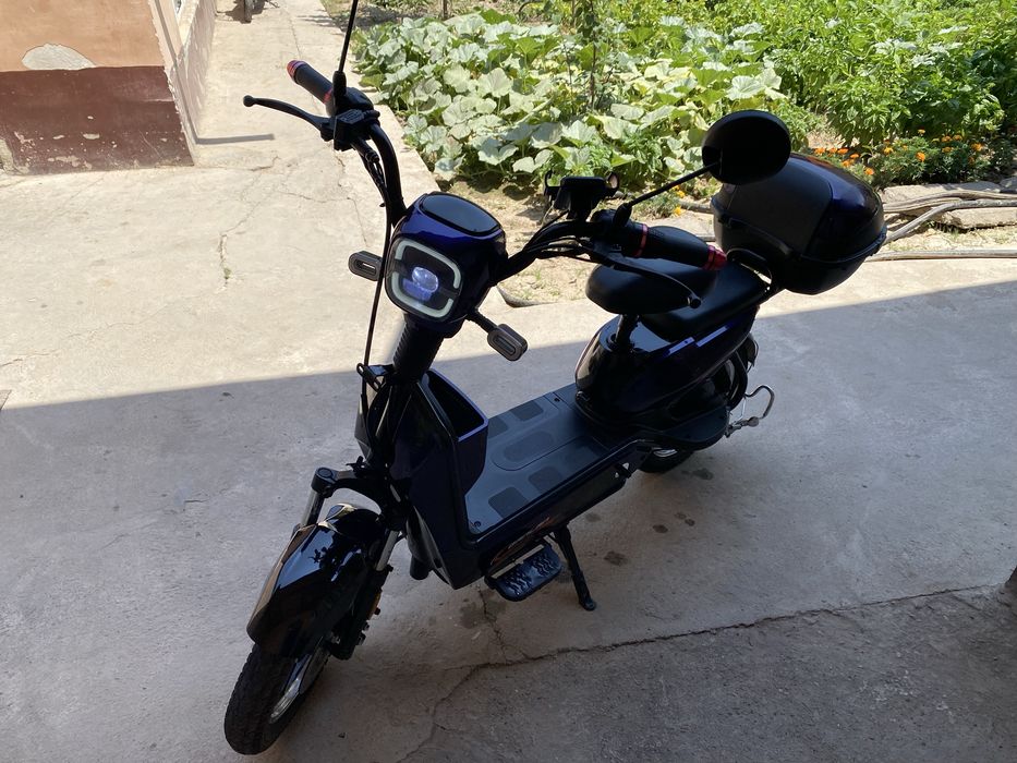 elektro skuter ganlan R16