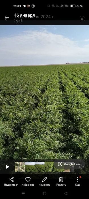 продам действующий бизнес