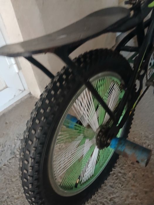 Барс велик сотилади