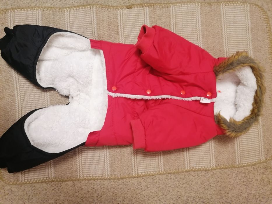 Комбинезон для собак