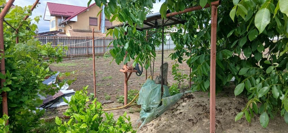Teren și construcții