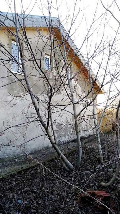 Продава се Къща в с. Селце, Област Добрич - 173 кв.м за 145 €/кв.м - Снимка #13