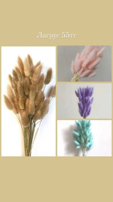 Сухоцветы, лагрус, пшеница, лаванда