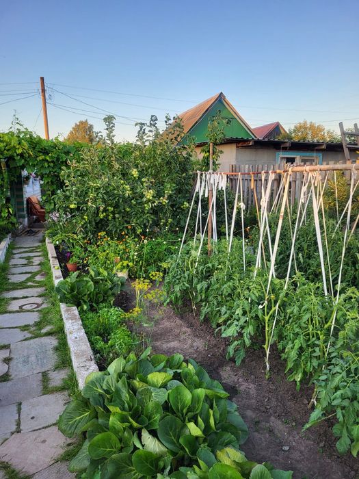 Продам дачу. (Энергостроитель)