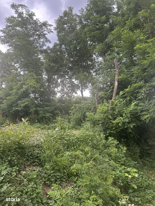 Cornu de Sus - teren intravilan 643mp - 26000 Euro