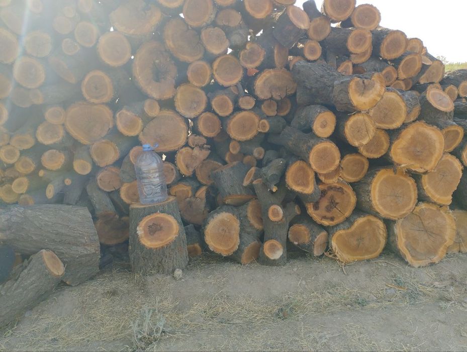 Урик Утин сотилади