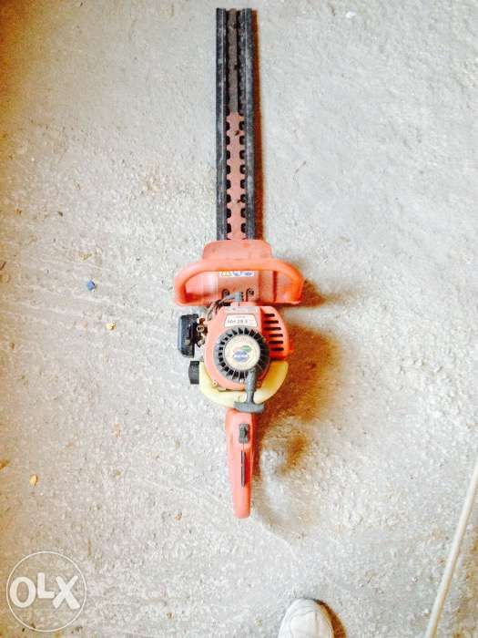 Drujba pentru tuns gard viu