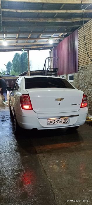 Cobalt sotiladi rangi oq