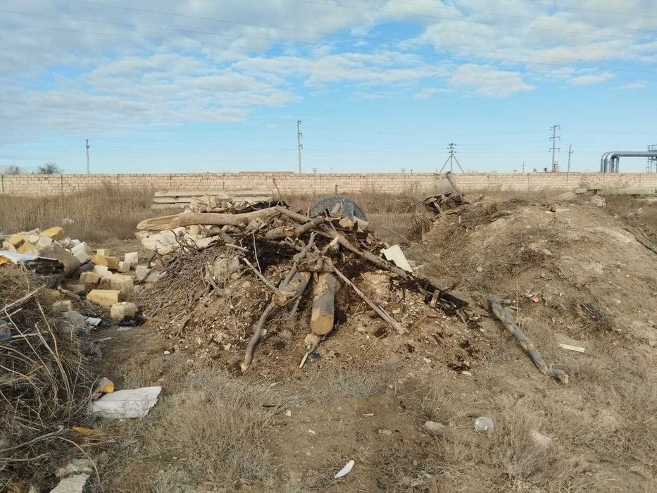 дрова (сухостой)