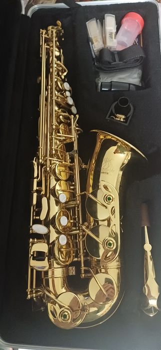 Saxofon de începători,Parrot