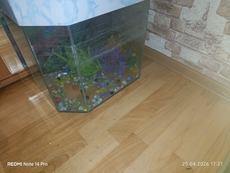 Продам аквариум .