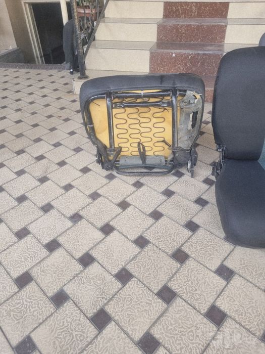 Damas sediniya o'rta