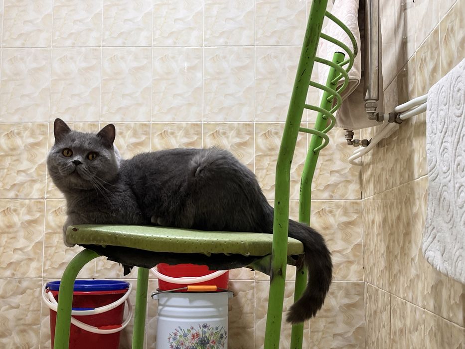 Одамни яхши куради