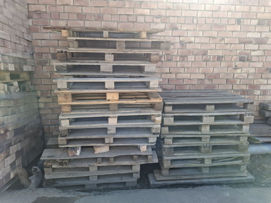 Поддон продам разные размеры 22 штук