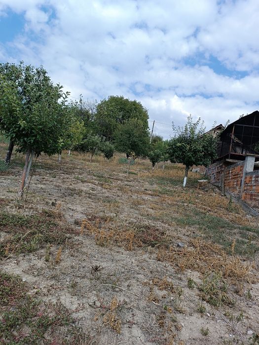 Продава се Парцел в с. Радишево, Област Плевен - 850 кв.м за 35 €/кв.м - Снимка #2