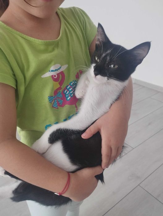 Petsitting la mine acasă în secolul 3, București