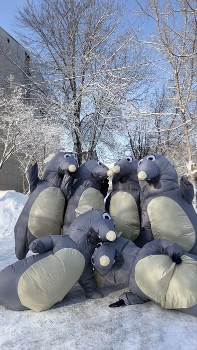 Прокат костюмов Крыс/ мышей