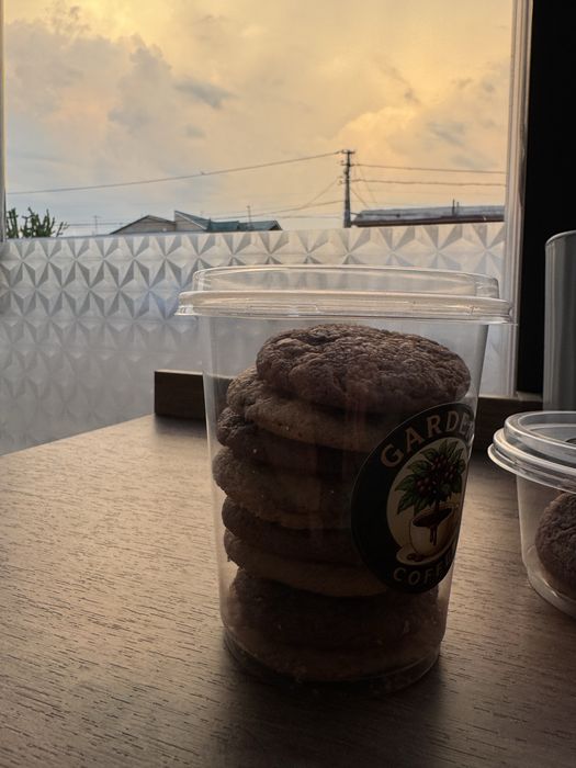 American home made cookies