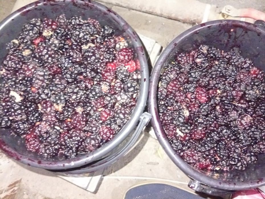 shotut. Shaxtut.  70000 som oldindan buyurtma berilsa terib beriladi