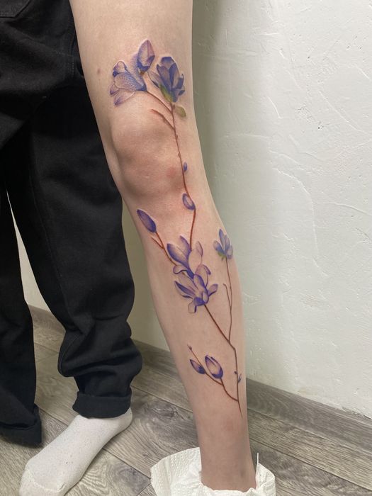 Тату, Татуировки