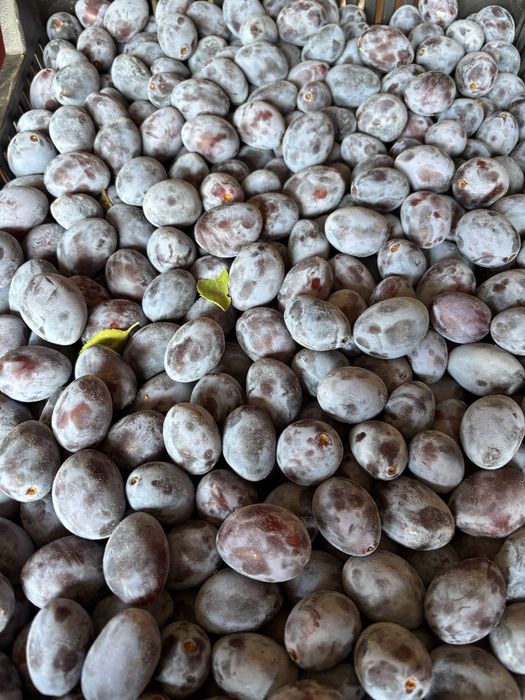 Prune bistritene si stanley de vanzare