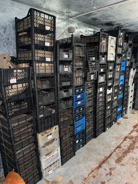 Плосмасовые ящики