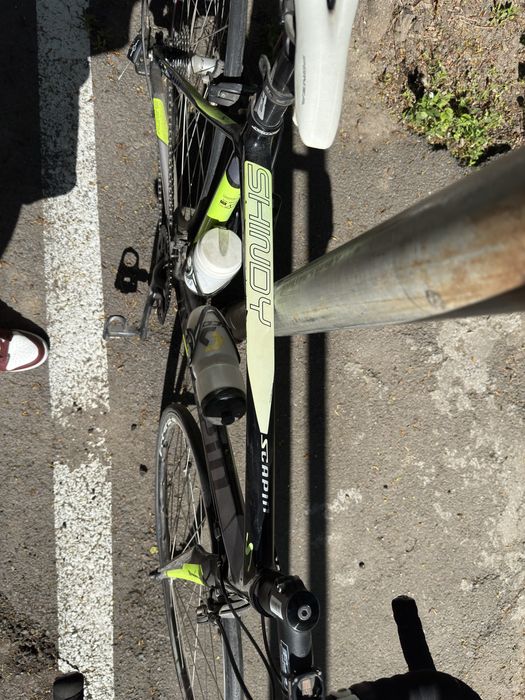 Cursiera Scapin Shindy