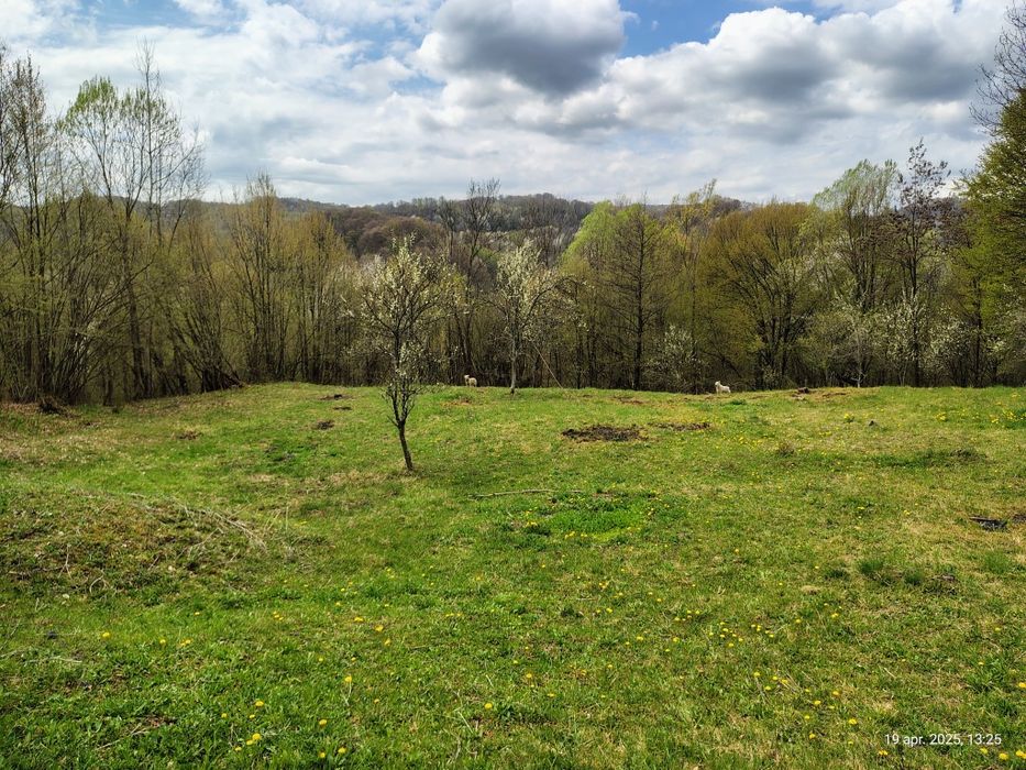 Teren Brădetu, Valea Vâlsanului - Argeș, intravilan!
