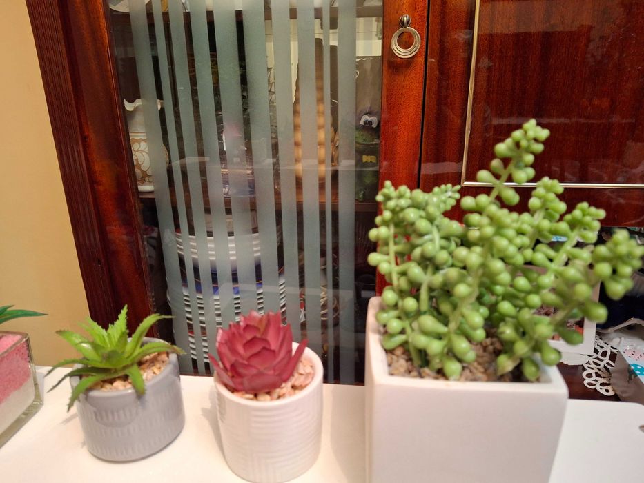 Plante suculente artificiale in ghiveci ceramic (set 6 buc)