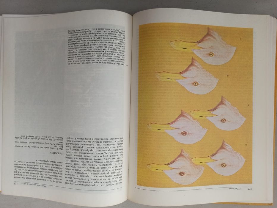 Тематическая книга " птиц" перевод с английского