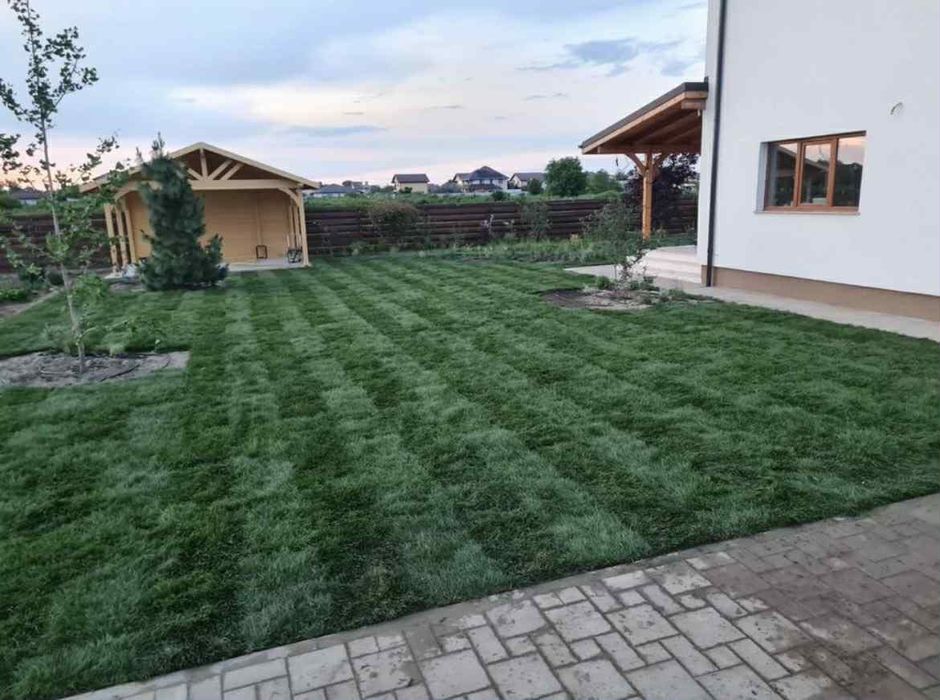 Rulouri de Gazon Natural