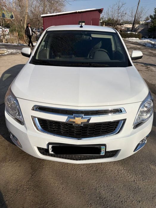 Cobalt 4 paz 2024 tozza