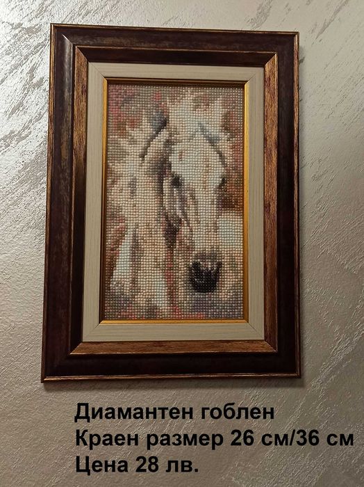 Диамантени голени