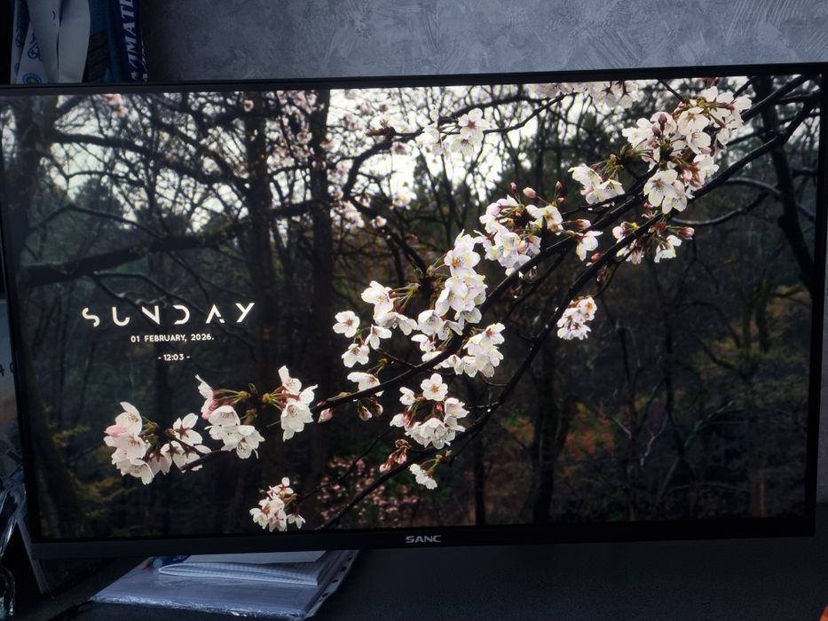 Монитор SANC сразу с кронштейном